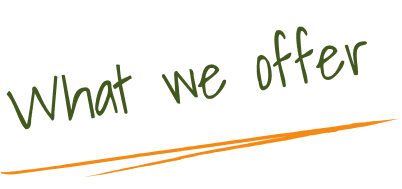 what we offer