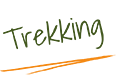 festival logo