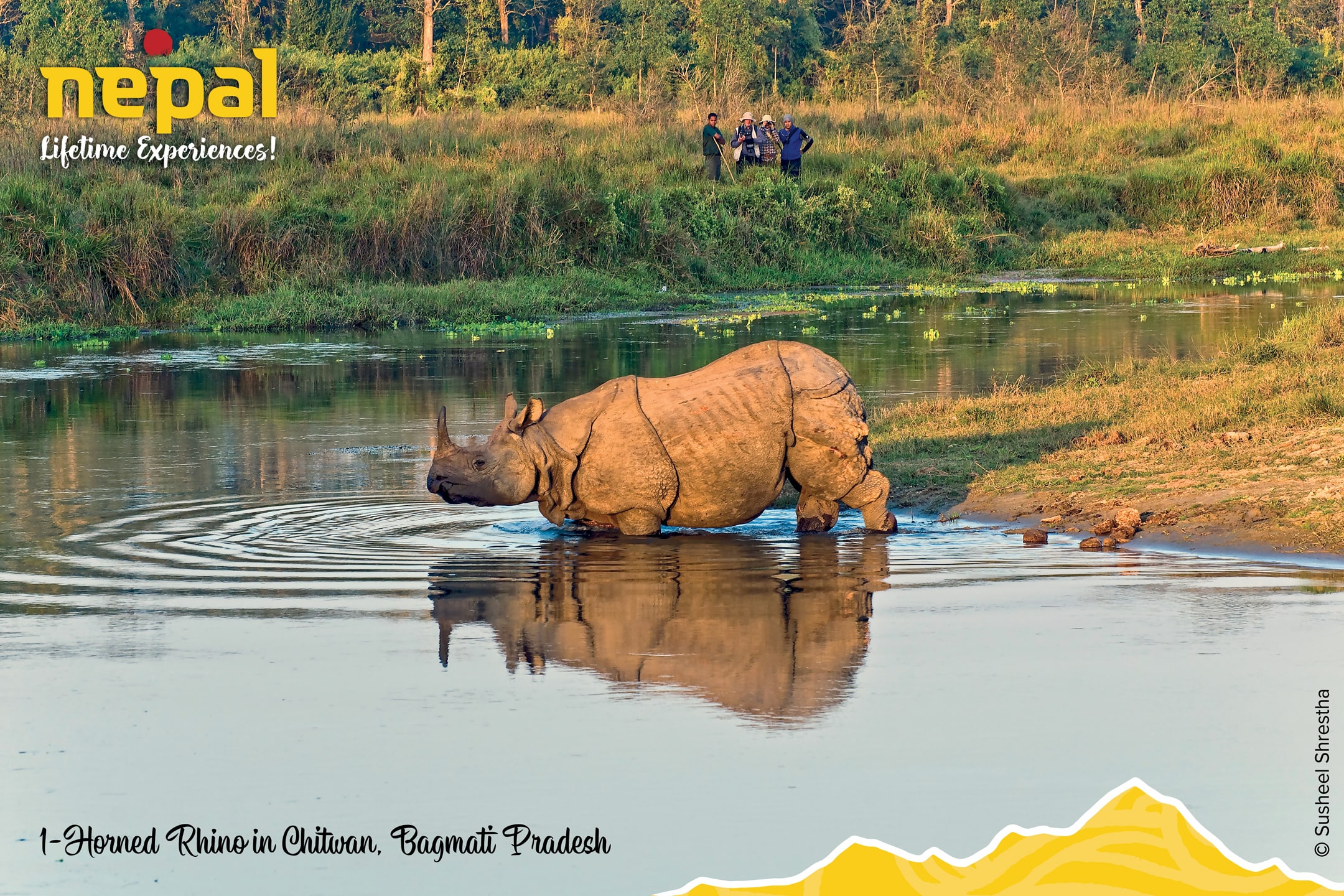 Delight of Nepal