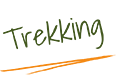 festival logo