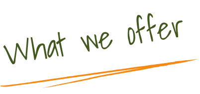 what we offer